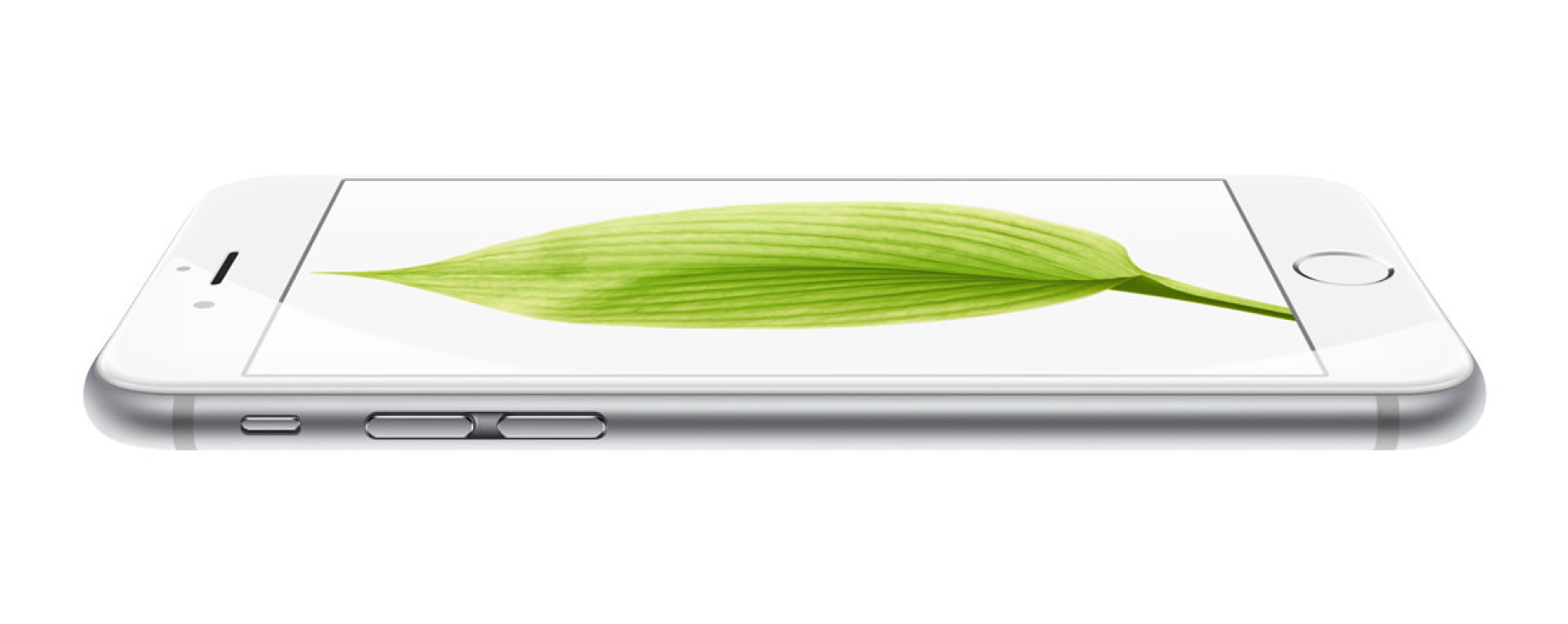 iPhone 6